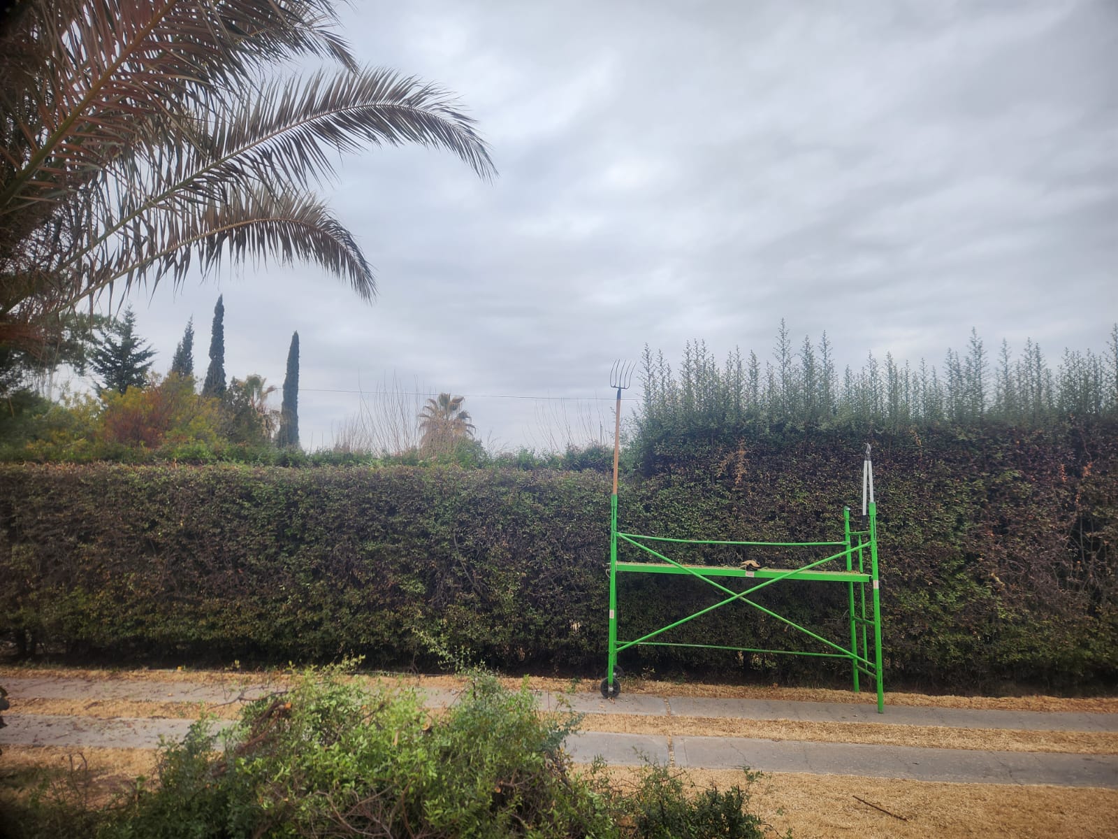 Trabajo de jardinería - Jardinería F.P